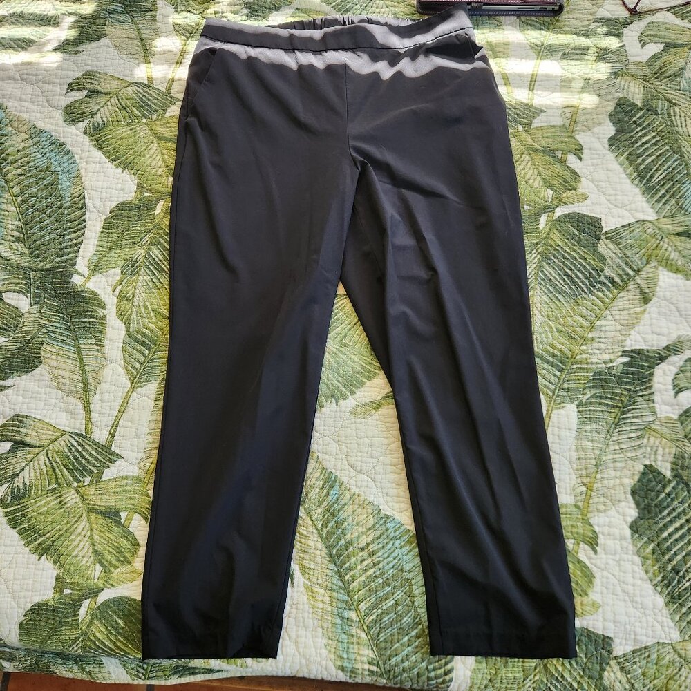 Banana Republic Hayden Slacks